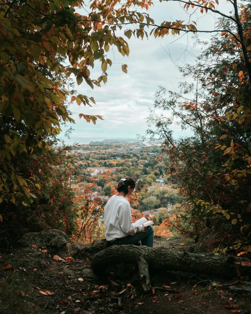 Lesende Frau sitzt auf einem Stamm im herbstlichen Wald mit Ausblick.