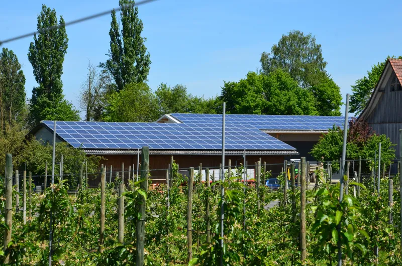 Dach eines Hauses ist komplett mit Solarzellen bestückt.