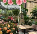 Bildcollage des Gartencenters und des Bistros