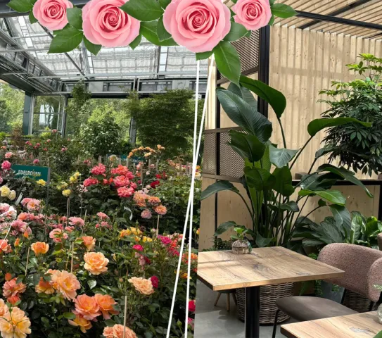 Bildcollage des Gartencenters und des Bistros