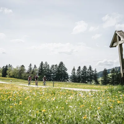 Radfahrer auf einer Landstraße mit blumigen Wiesen