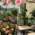 Bildcollage des Gartencenters und des Bistros